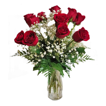 One Dozen Roses Flower Delivery by Morrow Florist