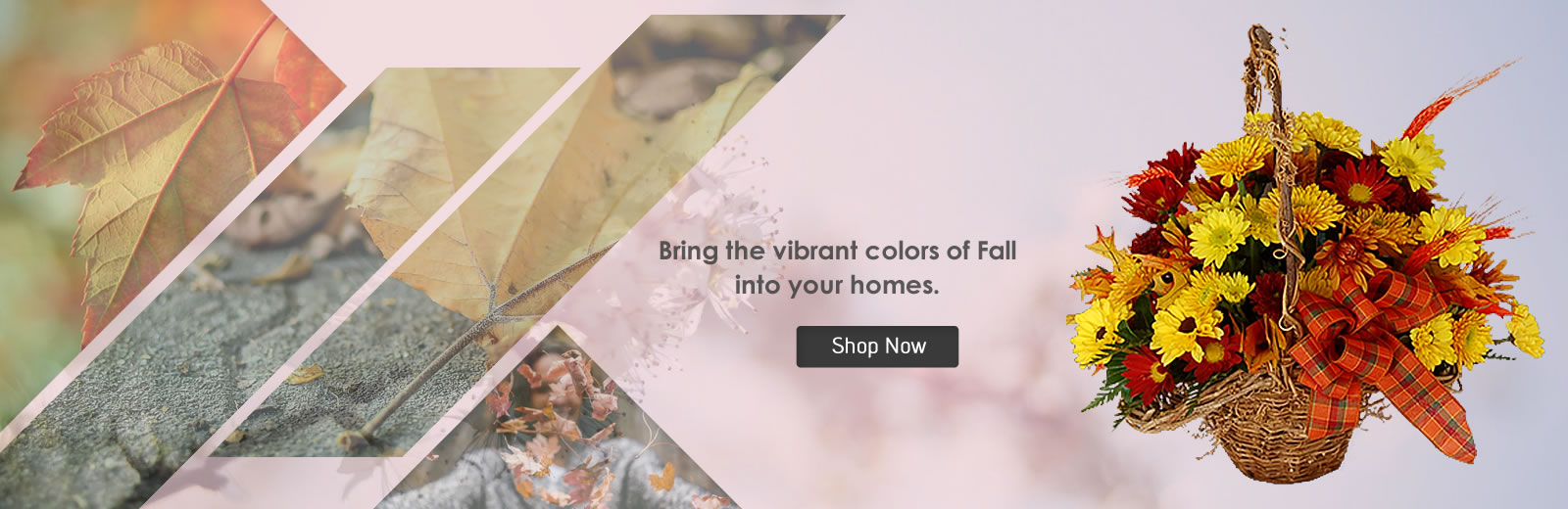 Morrow Florist, Clayton County Flower Delivery, 7709617066